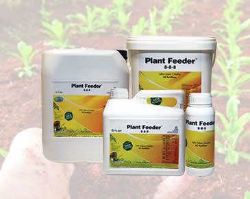 PLANT FEEDER 8-8-8 (1 Lt)