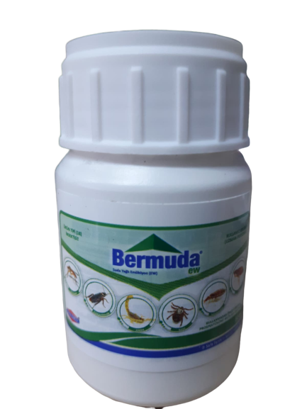 BERMUDA EW 50 ml